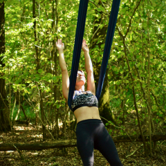 aerial-yoga-dragon-fly-wood-