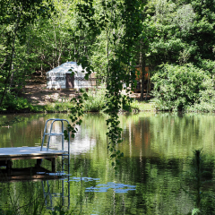 lakeside Barefoot& Bower