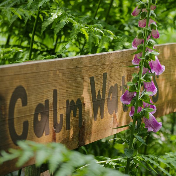 Barefoot and Bower Lakeside Yurts, glamping in May Hill, Forest of Dean, Gloucestershire, Mayhill camping and retreat